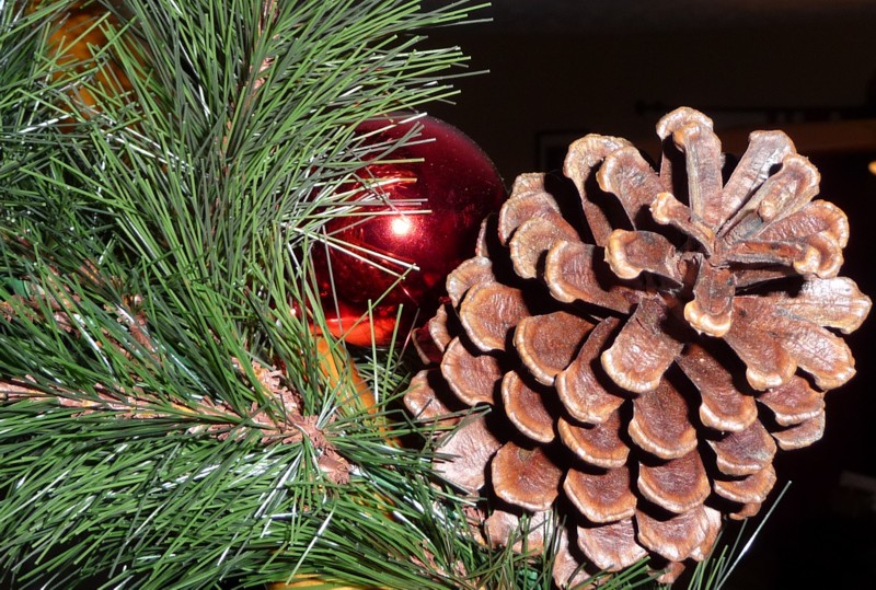 Banister Closeup (2).jpg